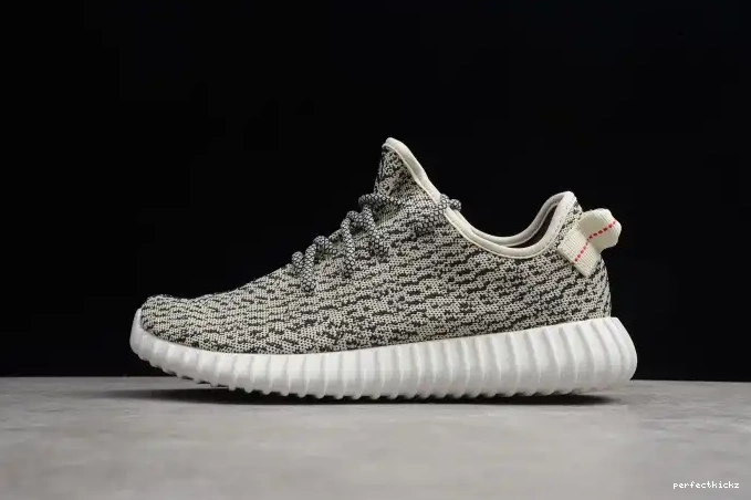YEEZY Dove Boost 350 AQ4832 Adidas Turtle 0701